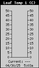 Leaf Temp Row 12