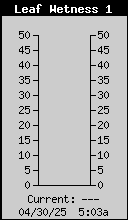 Leaf Wetness 1